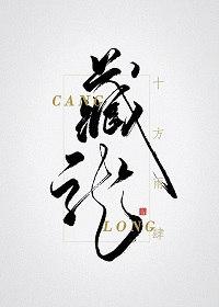 藏珑华府