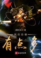 我的功德有点多txt