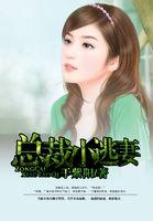 总裁的逃婚小妻全文免费阅读全文