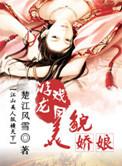 大明天子电视剧剧情介绍