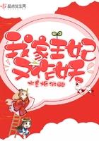 我家王妃又破案了