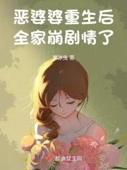 重生恶婆婆讲什么