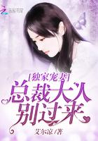 独家蜜宠总裁大人追妻忙