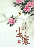 玉镜高悬招素兔