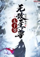 无敌至尊太子爷实力排行