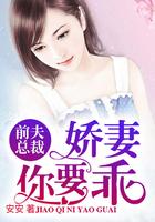 前夫总裁缠不休宁晚