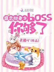 盛宠之恋