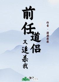 前任都在追我怎么办