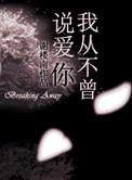 我从不曾说爱你歌词