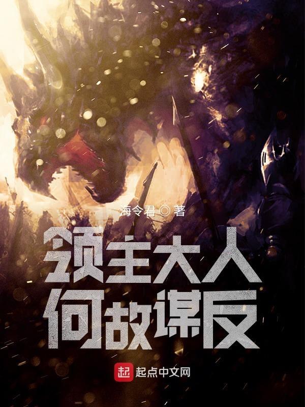 领主大人电视剧