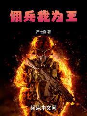 佣兵我为王宋和平