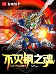 不灭钢之魂无弹窗 掌阅中文