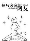 猎人-揍敌客家的六小姐的丛书系列是