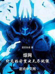 综网终焉的守望之无尽词缀 作者易伤秋者