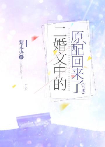 二婚现实