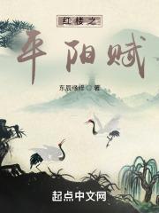 红楼之平阳赋百度