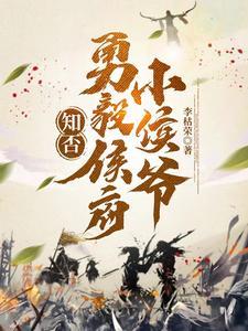 知否侯爷小妾