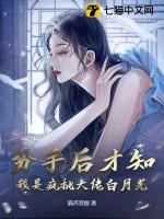 分手后我成了大佬的黑月光婗欢
