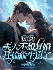 夫人不想复婚还偷偷生崽了 (酸奶福福)