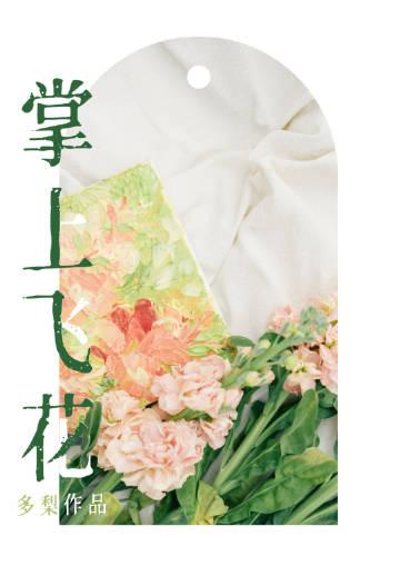 掌上飞花第一次在哪一掌