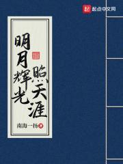明月辉光照天涯有声书