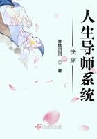 人生导师攻略快穿种阳者