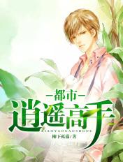都市逍遥高手乐毅顶点