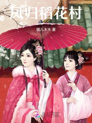 我在凤花村等你