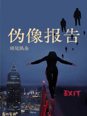 伪像报告是什么类型的