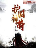 护国神将第二季免费播放