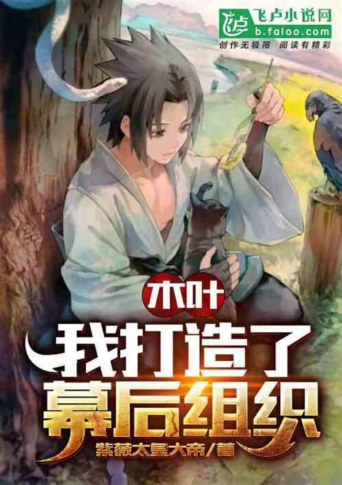 木叶我打造了幕后组织同人圈全文阅读免费