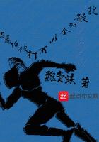 因为太怕被打所以全点敏捷