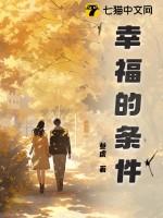 幸福的条件 歌 吉他谱
