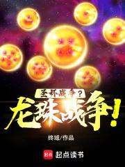 圣杯战争?龙珠战争! 终域免费