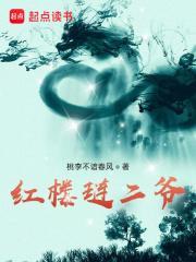 红楼琏二爷txt百度