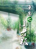 重生之小老板弦txt百度免费