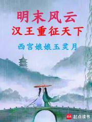 明末风云汉王重征天下精校版百度