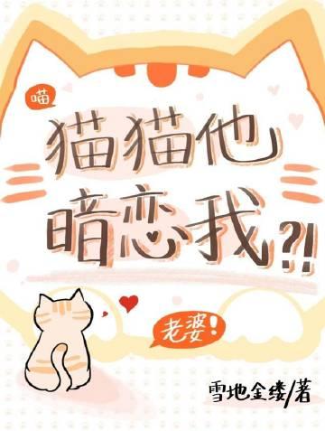 猫咪喜欢你有哪些表现