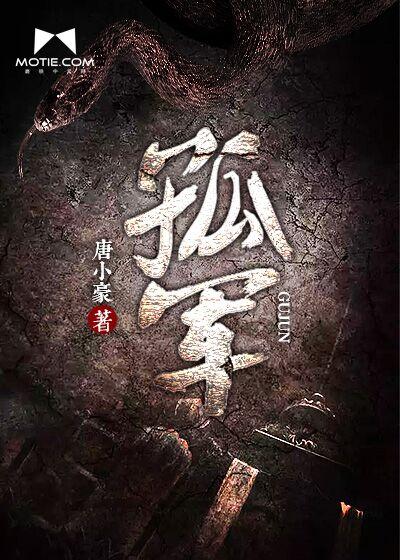 孤军英雄多少集
