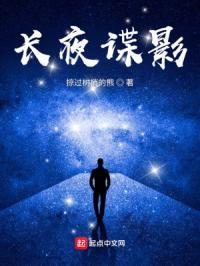 长夜谍影百度百科