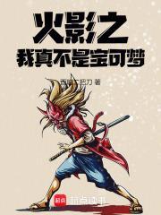 火影之我真不是宝可梦无防盗