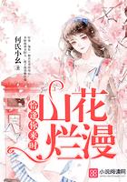 恰逢花开txt