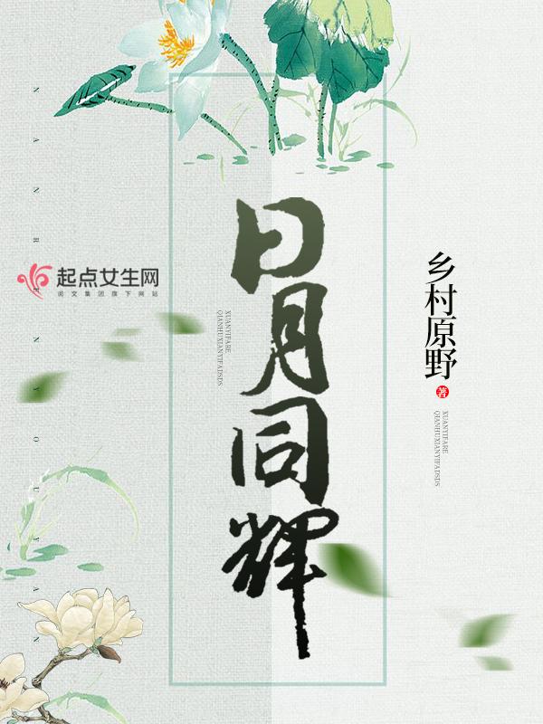 日月同辉九天蔽月代表数字几