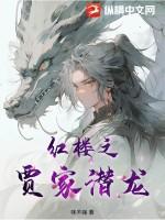 红楼之贾家主受