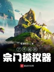 了不起的宗门模拟器 雪满林间 顶点