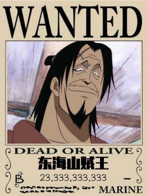 东海山贼王目录