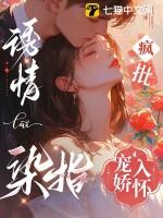 疯批宠娇入怀(清丹沐)