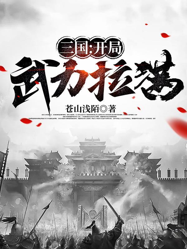 三国开局武力拉满作者苍山浅陌