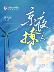 京夜撩人作者是谁