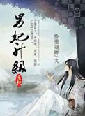 男妃升级系统by